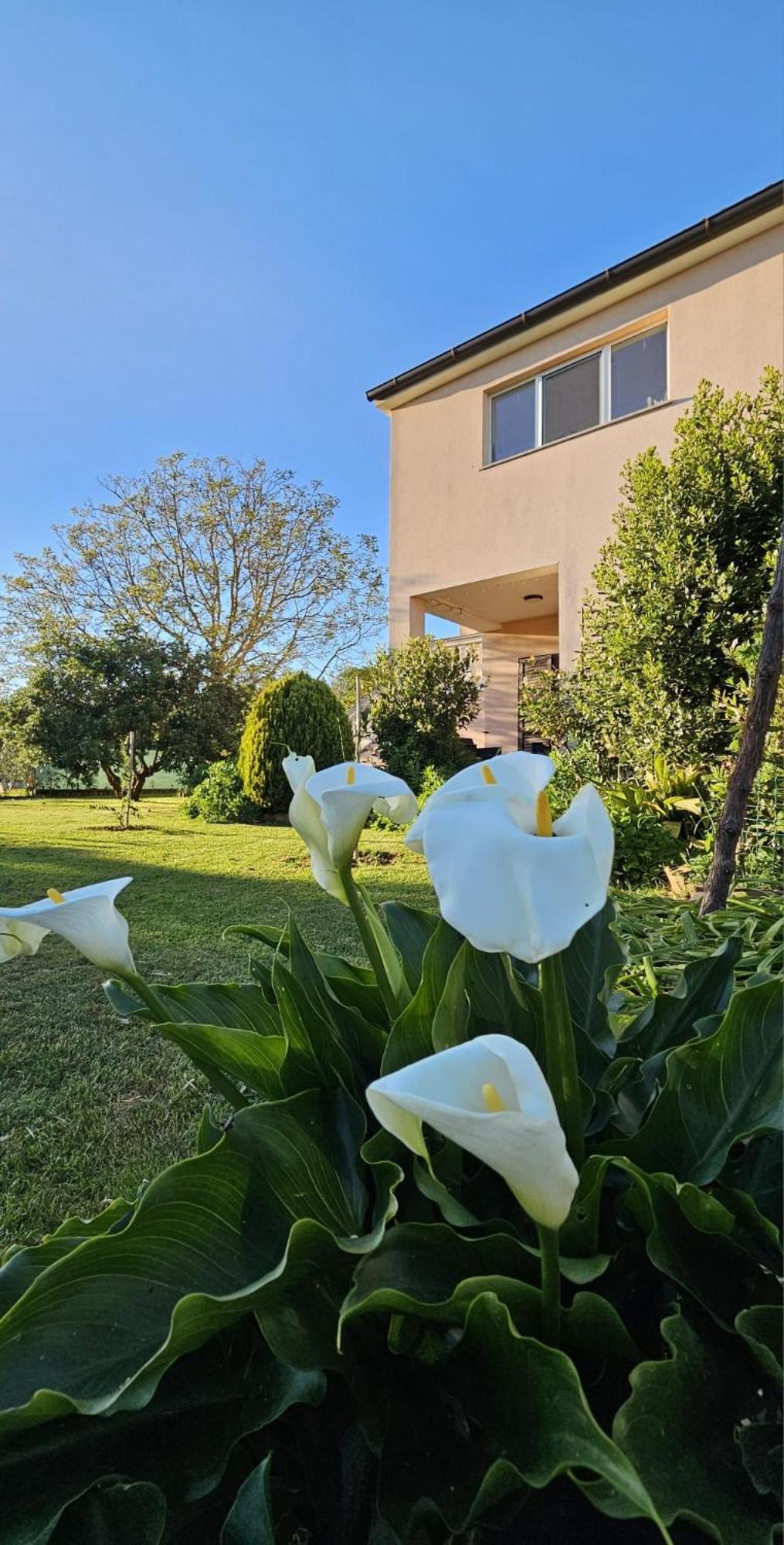 Casa Da Billy Apartman Póla Kültér fotó